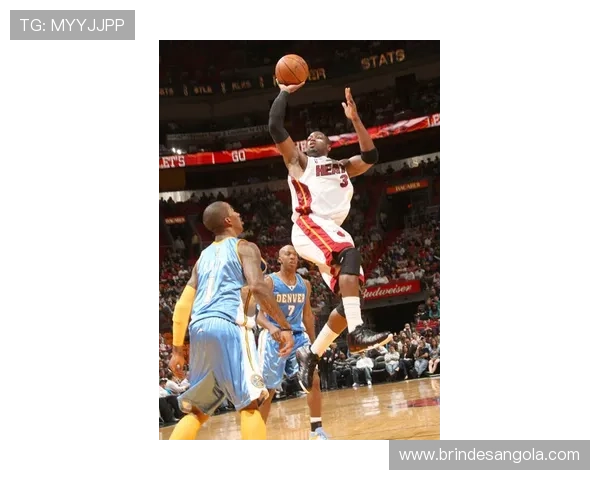 韦德官网最新资讯全面解析助你掌握第一手体育动态