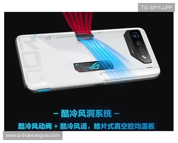 Win德赢登录线路优化指南帮助玩家快速连接提升游戏体验